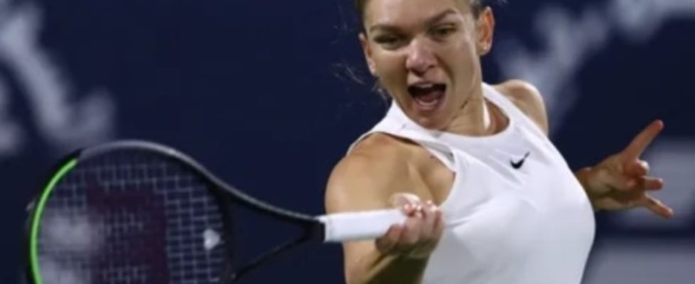 Симона Халеп bet365