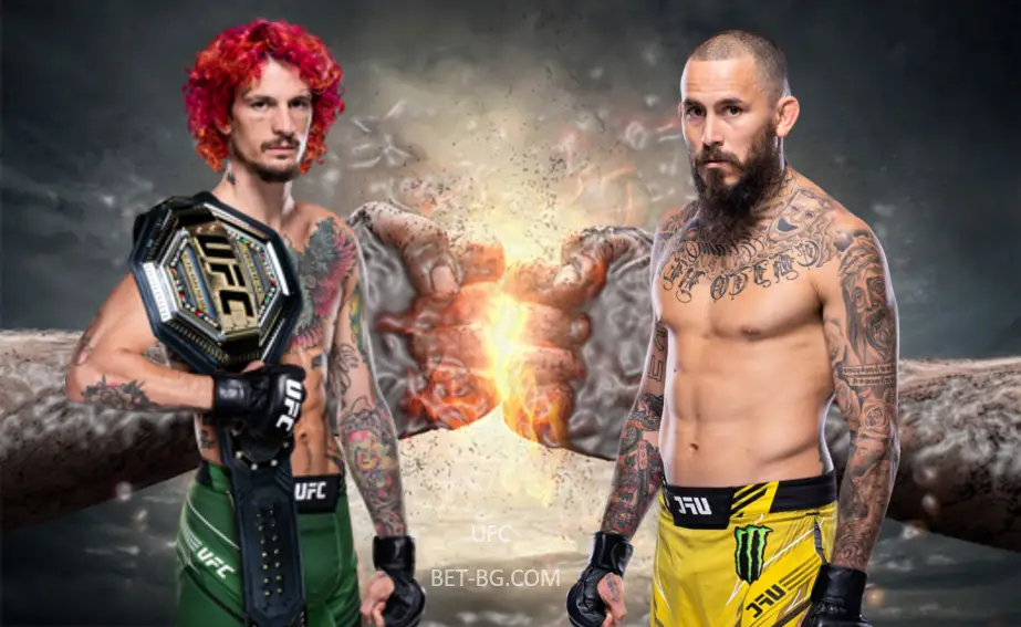 Шон О'Мали - Марлон Вера bet365
