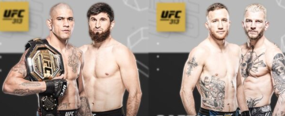 UFC 313