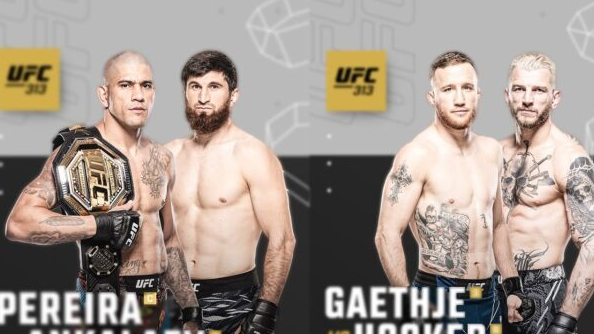 UFC 313