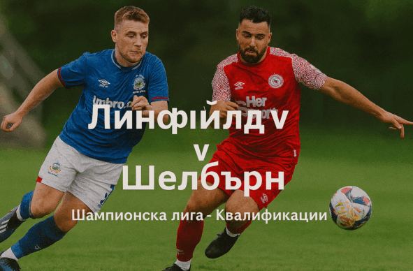 bet365 combg